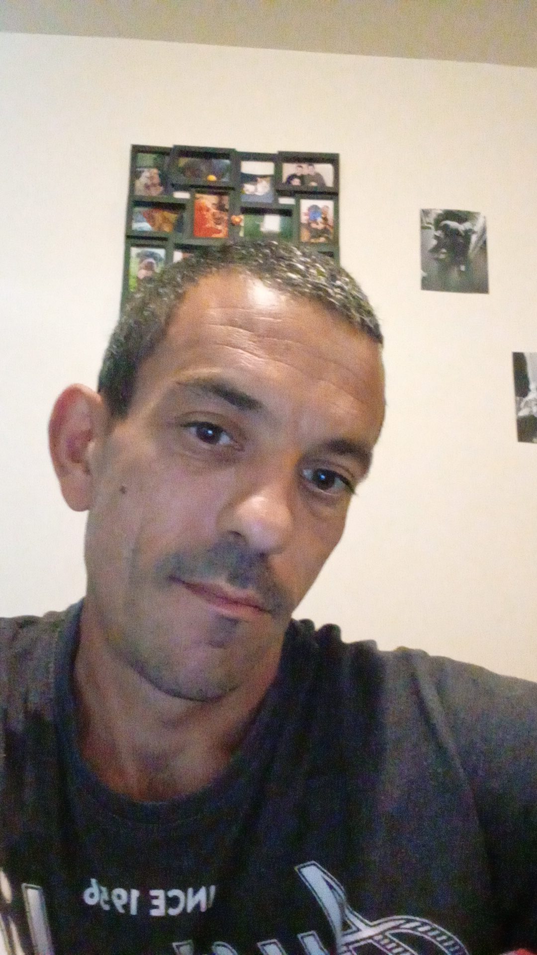 Profil von Medin
